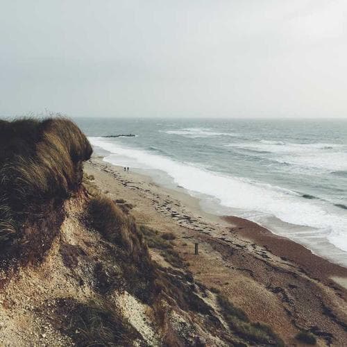 Sandalwood Incense Sticks - Main View