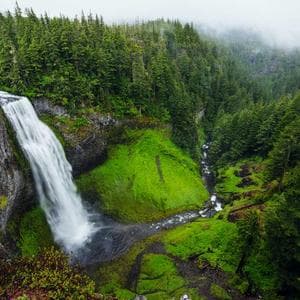 Sacred Rudraksh Beads